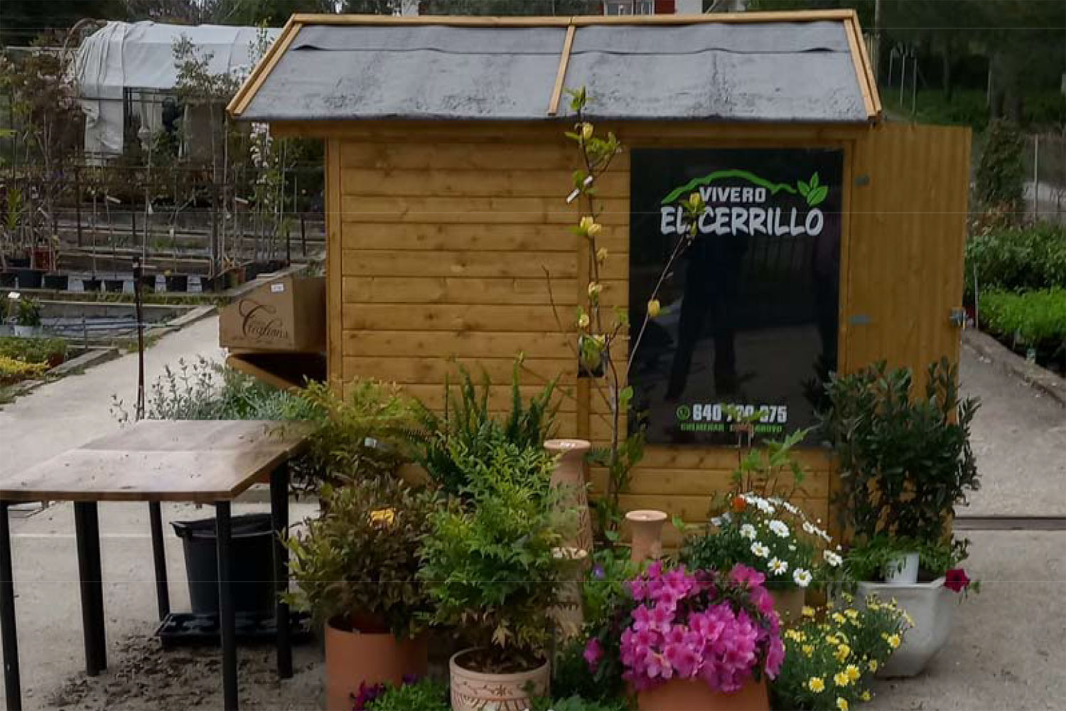 El Cerrillo Banner
