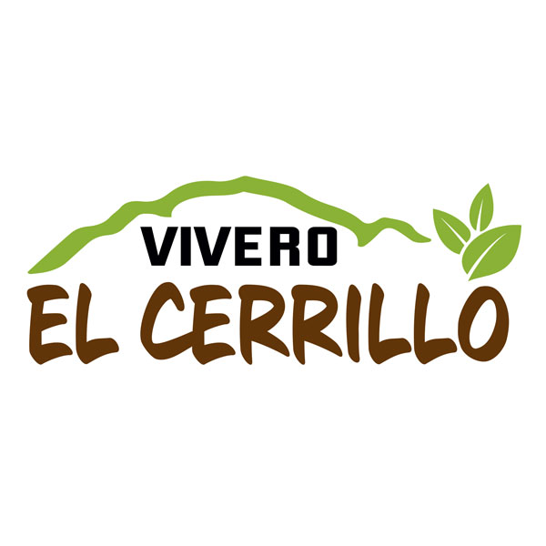 Logotipo