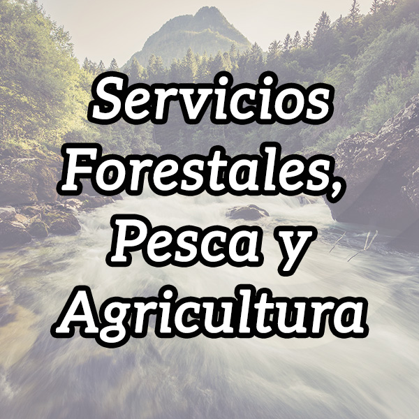 Logo Forestales